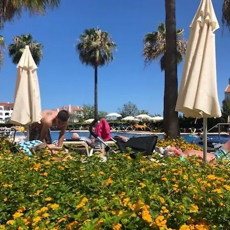 Semanas 30 E 24 Gale Cerro Alagoa 阿尔布费拉